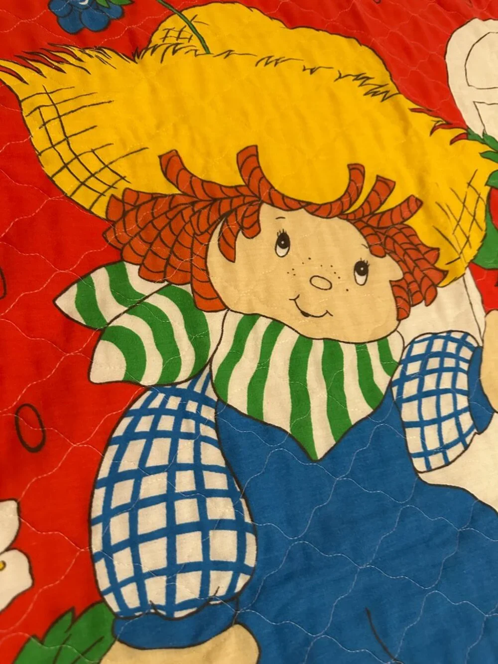 VTG 80s Huckleberry Pie Boy Strawberry Shortcake Thin Quilted Blanket